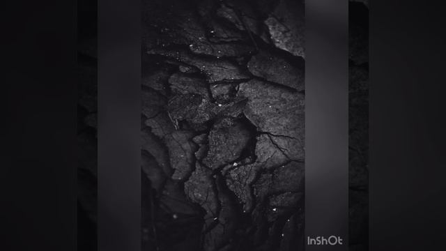 Что надеть на фестиваль? смотреть онлайн