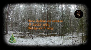 Что будет на канале. В 2023 году. Прогулка в лесу.