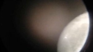 Съемка луны и Марса в телескоп с помощью смартфона