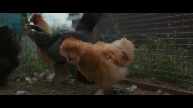 Блогер Сельчанка через свои видео учит любить сельскую жизнь
