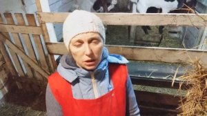 Как выбрать козла производителя, а не мясо козлятины.
