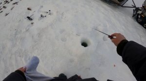 Рыбалка в ХМАО 2022. Часть 3. ВОТ ЭТО РАЗДАЧА!!!! БЕШЕНЫЙ КЛЁВ ОКУНЯ. Саранпауль. оз.Толгынгктур