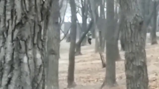 Во Владивостоке «санитары леса срывают аллею славы» смотреть онлайн