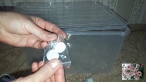 Теплица для растений своими руками.Комнатные цветы.