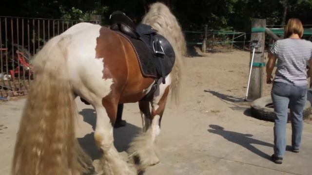 Тинкер .4 года . Производитель, лицензия.На продажу. 1 смотреть онлайн