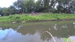 Вот это ЗАГИБАЕТ! Ловля ЩУКИ на живца ПОСТАВУШКАМИ летом с берега!