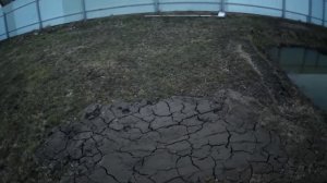 Удобрение из прудика