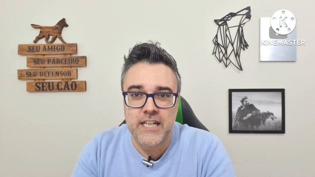 Ração TANGO MIX - SURPREENDEU NOS PLUS! ?É boa? | Ração para cães смотреть онлайн