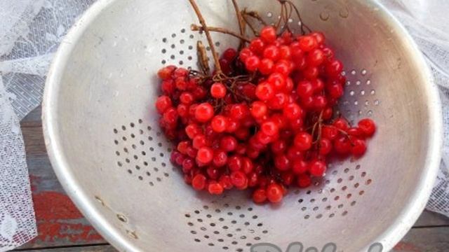 Калина с медом на зиму без варки
