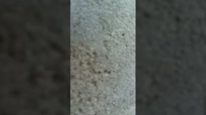 #Не монтируй слуховые окна пока не посмотришь это видео #Дом #Слуховыеокна во фронтон