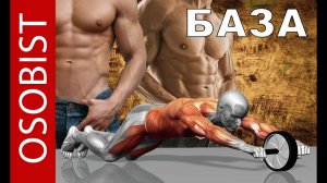 Пресс. Фитнес колесико для пресса и спины. База о прессе и как его прокачивать