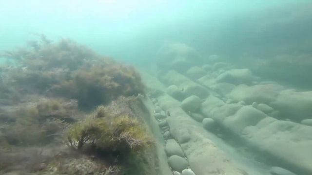 Черное море.Село Агой. Туапсинский район. Август 2021г.