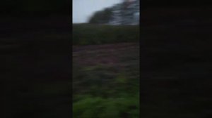 Вспашка огорода старым конным плугом