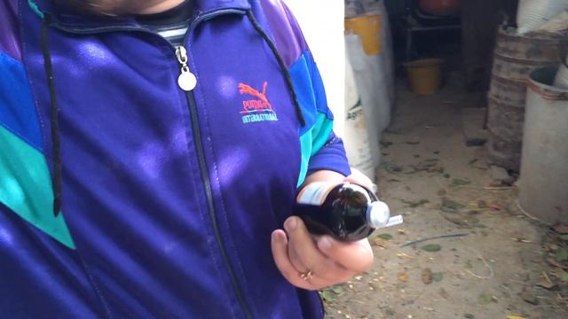 Искусственное осеменение свиноматки. Прокалываем железо. Купируем хвосты поросятам. Свиноводство. смотреть онлайн