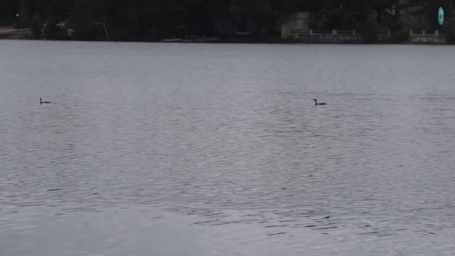 Вечер на Озере. (Верхнее Суздальское озеро) смотреть онлайн