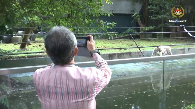 Agong melawat Zoo Negara смотреть онлайн