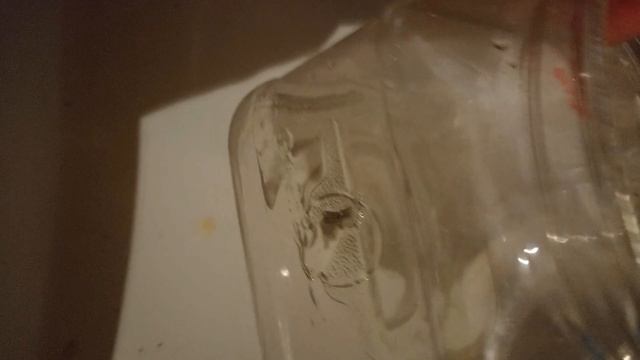 как я чищу клетку хомяка смотреть онлайн