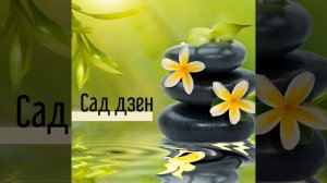 Тай-чи музыка