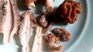 Как отличить строчок от сморчка и сморчковой шапочки.