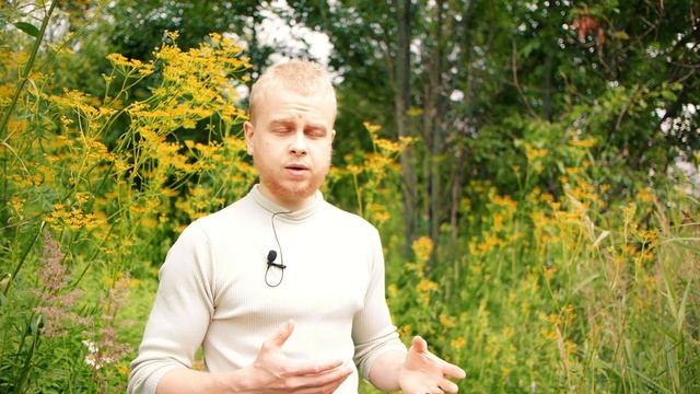 Способ перестройки на ранний подъём и засыпание | Ярасту ru смотреть онлайн