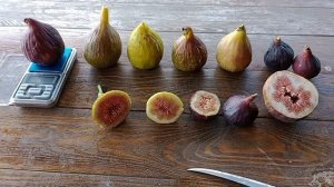 Сравнительная дегустация 10 сортов  инжиров