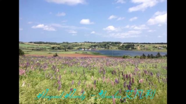 ♫ Hagood Hardy - Avonlea艾凡利/Anne of Green Gables《清秀佳人》 смотреть онлайн