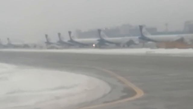 Посадка в аэропорту Домодедово (DME) Airbus A321    а/к S7 Airlines. смотреть онлайн