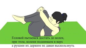 Шесть универсальных упражнений для спины.