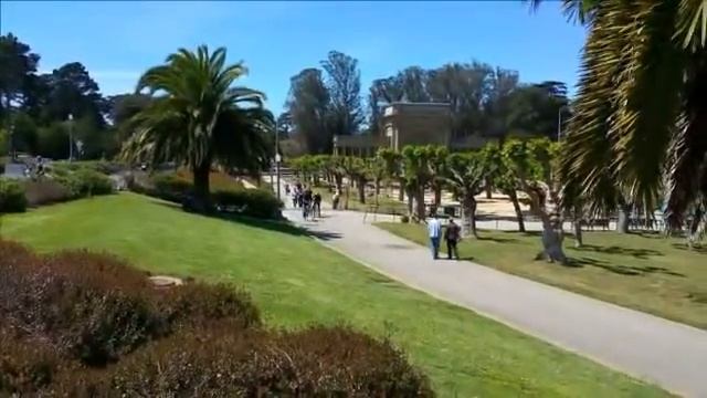 San Francisco Attractions | San Francisco's Golden Gate Park | De Young Museum | Academy of Science смотреть онлайн