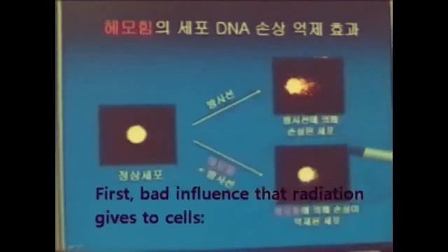 Сюжет о Хемохим на Корейском телевидении смотреть онлайн