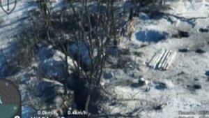 вСушники попытались отбить утраченные позиции у Новомихайловки.