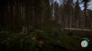 Sons of the Forest Freecam (without console)