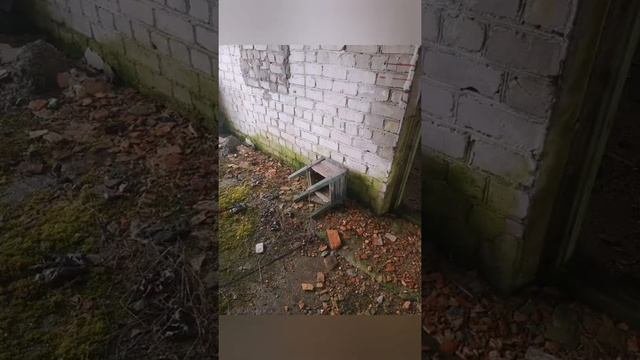 РЕАЛЬНАЯ ЛАТВИЯ - РЕГИОН ВИДЗЕМЕ 2021 (Часть 1) Из цикла 