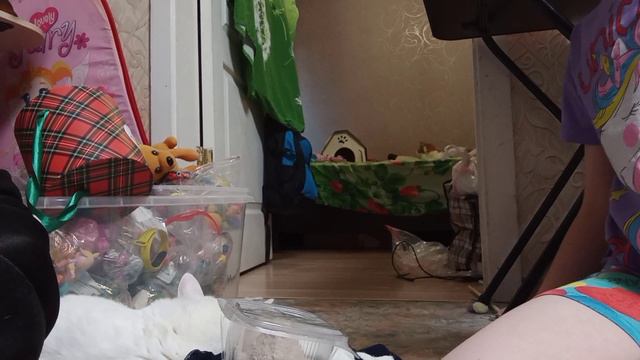 16 августа 2024 г..mp4 смотреть онлайн