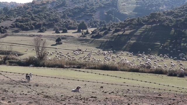 Когда родился Иисус Христос? смотреть онлайн