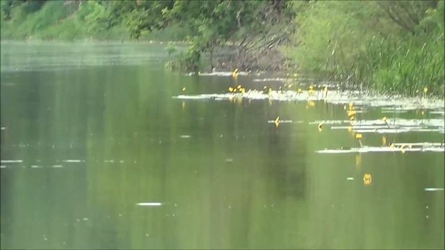 По реке Хопер от Гарнизонного пляжа до Арзянки смотреть онлайн