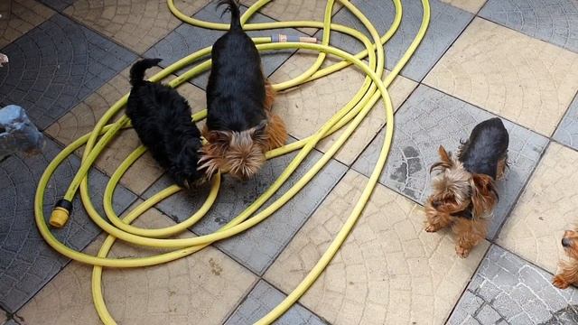 Сегодня наша Мадя именинница??????? смотреть онлайн