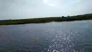 Река Нерль. Пляж д.Раменье Суздальский район. 19 августа 2017 г.