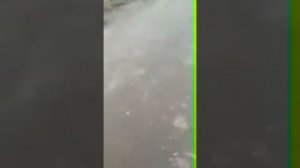 Аффтар жжот :Карелия,п.Салми.