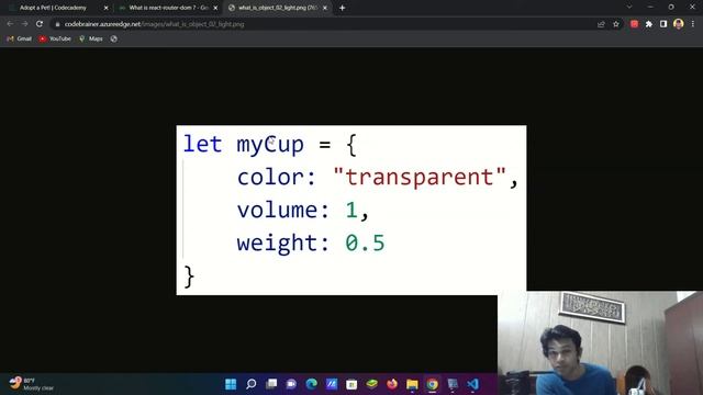 Step 1 Of 29 Install React Router Dom Adopt A Pet! Codecademy Javascript