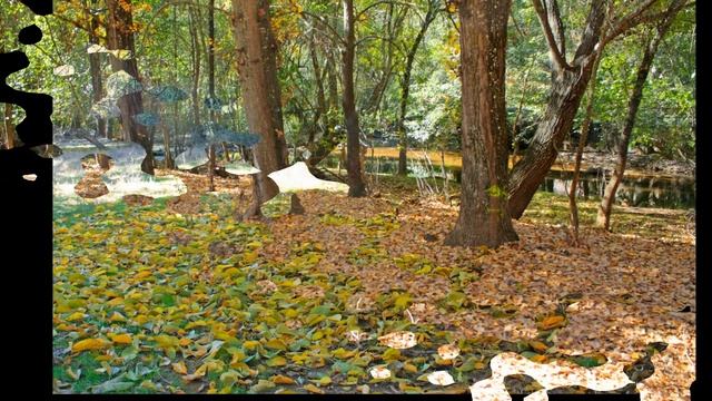 MILONGA hasta que esto pase смотреть онлайн