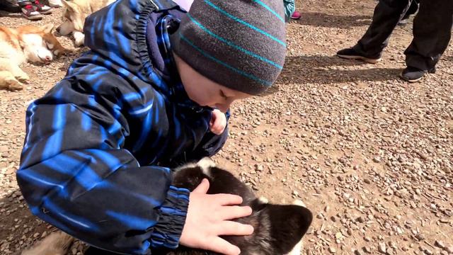 Зооферма Шихово 07.05.23 смотреть онлайн