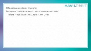 Разбираем 7 задание из ЕГЭ по Русскому языку