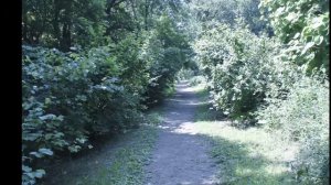 Барнаульский дендрарий им Лисавенко М.А.