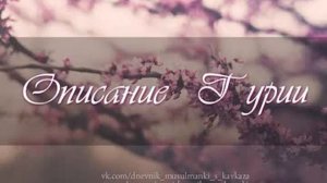 Описание Гурии (райские девы)