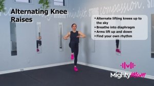 ALTERNATING KNEE RAISES