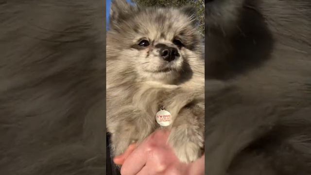 10 апреля 2023 г. смотреть онлайн