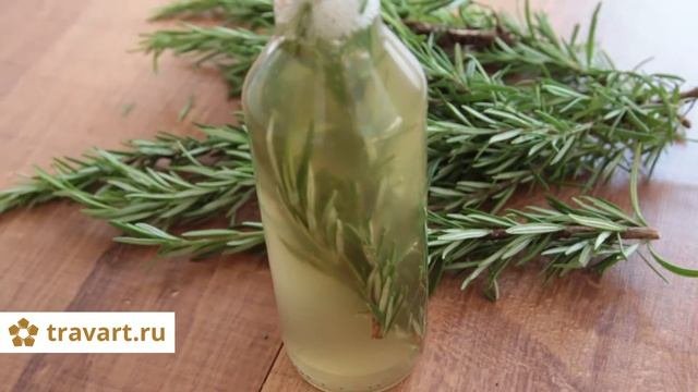 Уксус с розмарином Яблочный уксус с розмарином ТРАВАРТ 0902 Животворец Андрей Протопопов