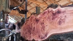 Даже такой корявый комель дерева пойдёт на изготовление мебели.