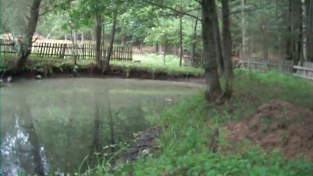 Запруда на лесном хуторе смотреть онлайн